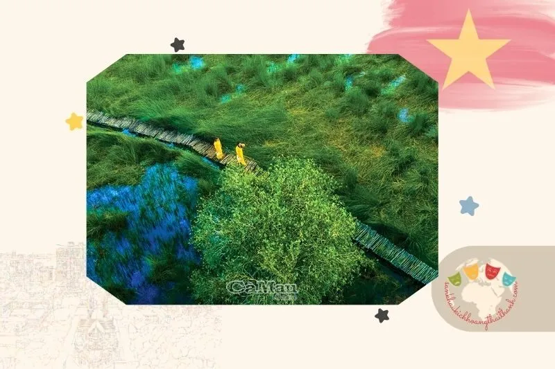 Cánh đồng bất tận