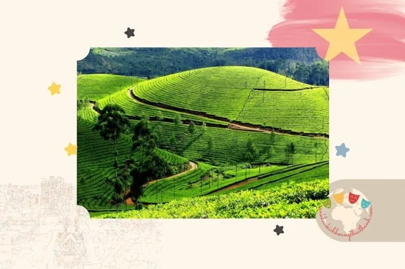 Cao nguyên Mộc Châu