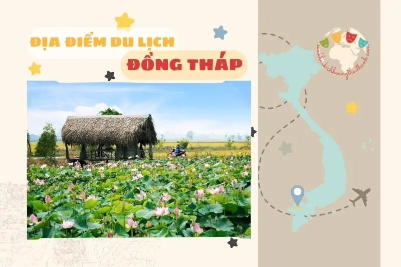 Địa điểm du lịch Đồng Tháp 2025: Những nơi nhất định phải ghé