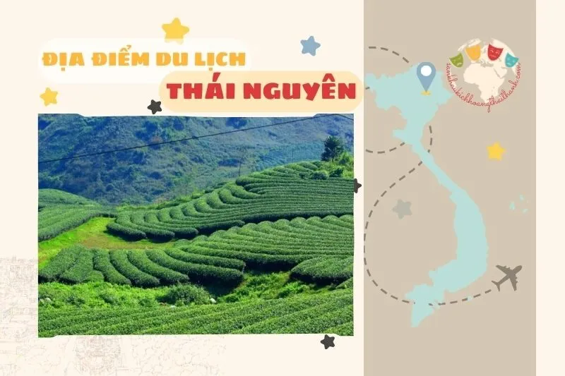 Địa điểm du lịch Thái Nguyên – Hồ Núi Cốc, Đồi chè Tân Cương