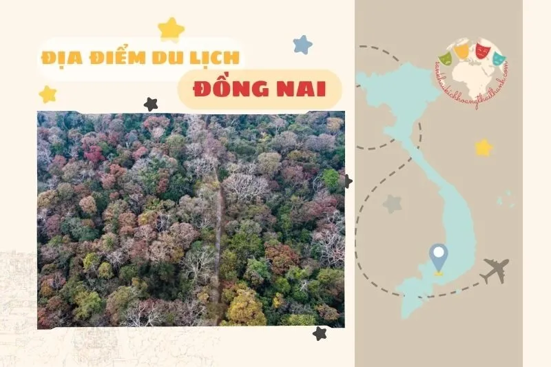 Khám Phá Các Địa Điểm Du Lịch Đồng Nai 2025 Cực Hấp Dẫn