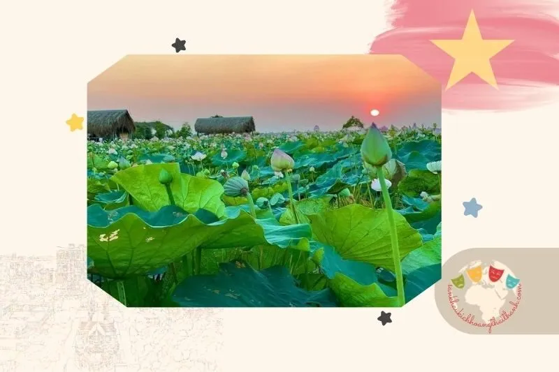 Khu du lịch Đồng Sen Tháp Mười