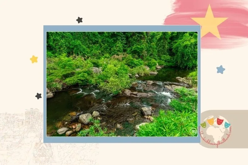 Rừng Nguyên Sinh Khe Rỗ