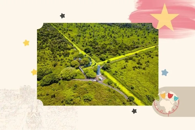 Rừng Quốc Gia U Minh Hạ