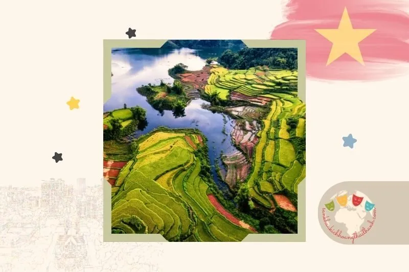 Ruộng bậc thang Hồng Thái