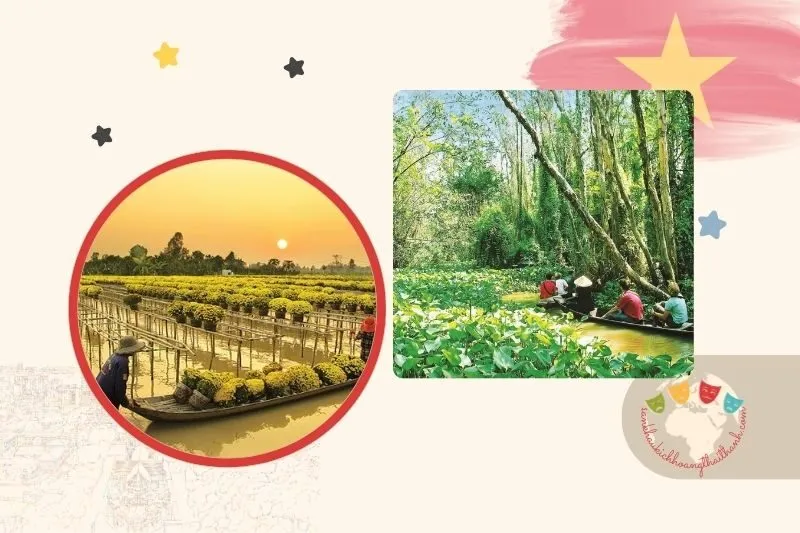 Top 8 địa điểm du lịch Đồng Tháp đặc sắc nhất