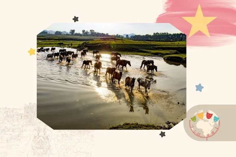 Trại ngựa Bá Vân