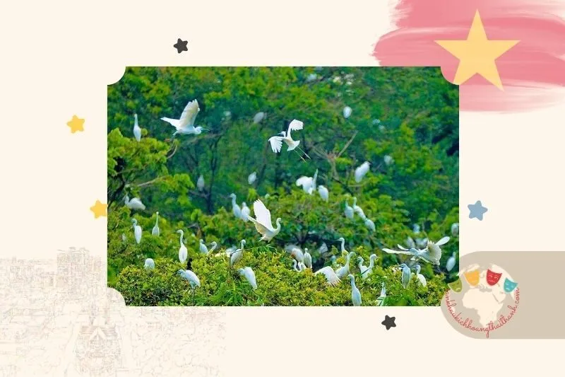 Vườn Chim Bạc Liêu