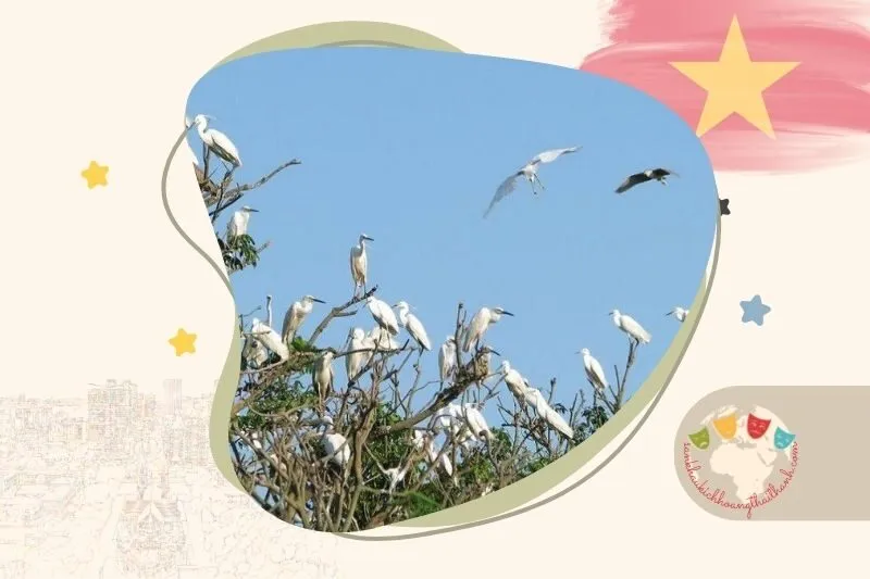 Vườn cò Hải Lựu