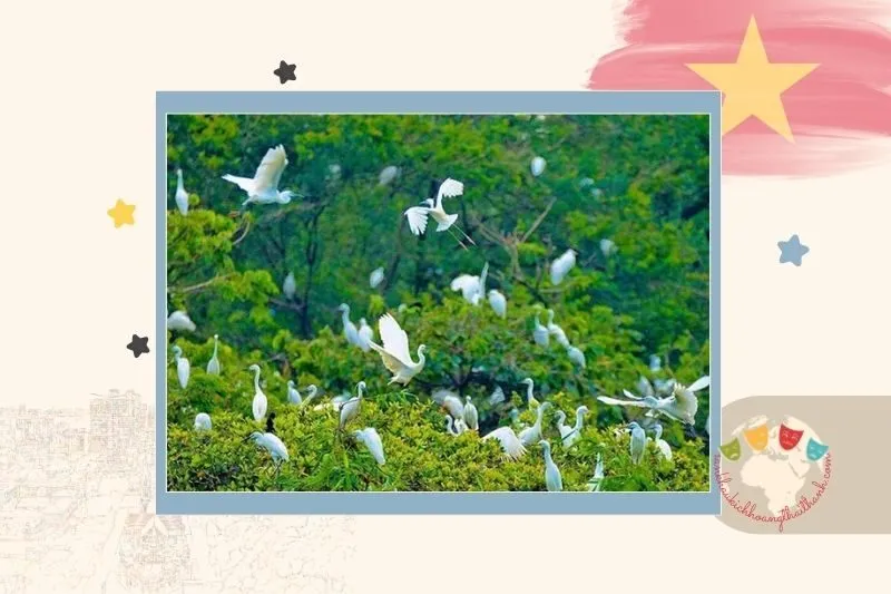 Vườn Cò Tân Long