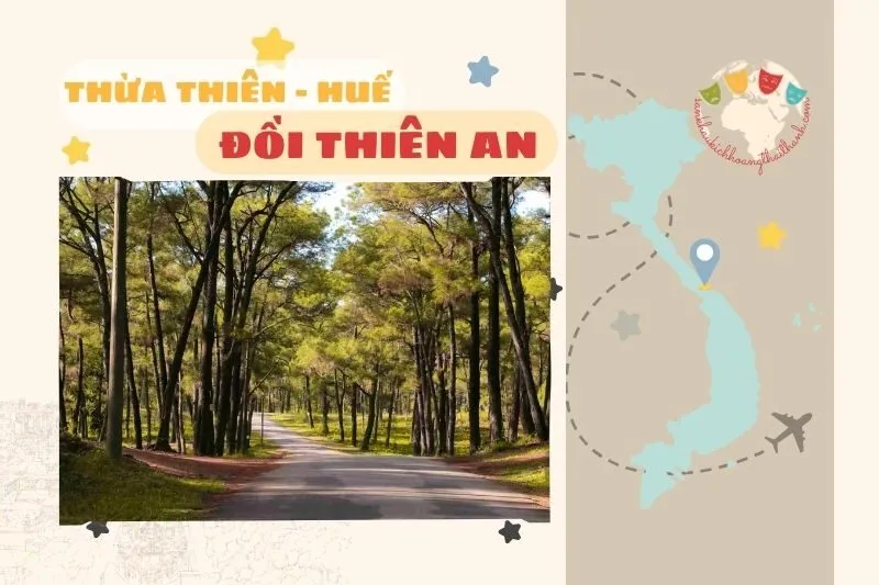 Đồi Thiên An Huế: Điểm Check-in Tuyệt Đẹp & Cách Di Chuyển