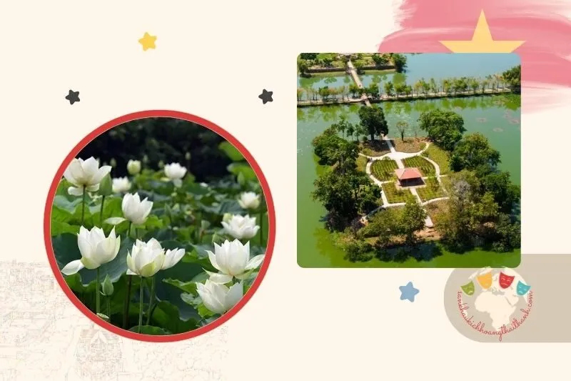 Hồ Tịnh Tâm Huế ở đâu? Lịch sử và giá trị văn hóa